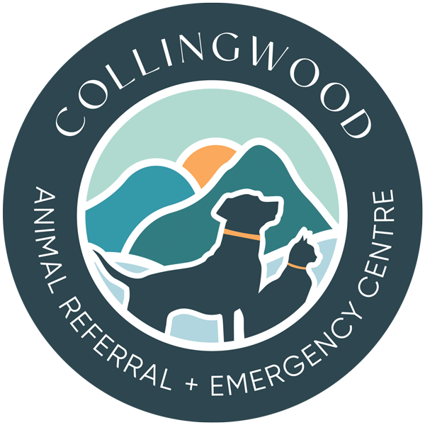 Collingwood Animal Referral & Emergency Centre | Veterinary Surgery & Urgent Care